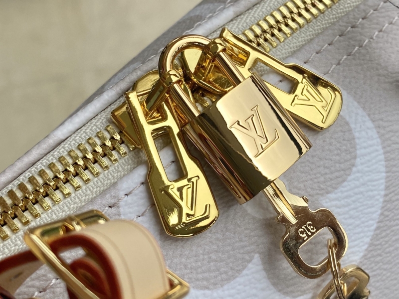 LV Travel Bags